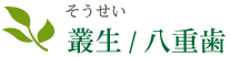 叢生（そうせい）/八重歯
